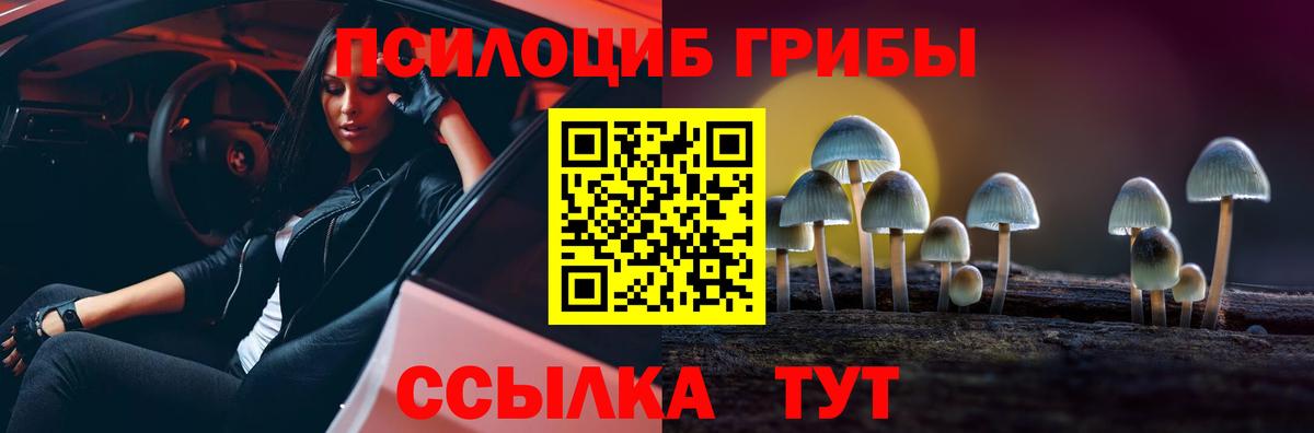 Псилоцибиновые грибы Psilocybe Урай